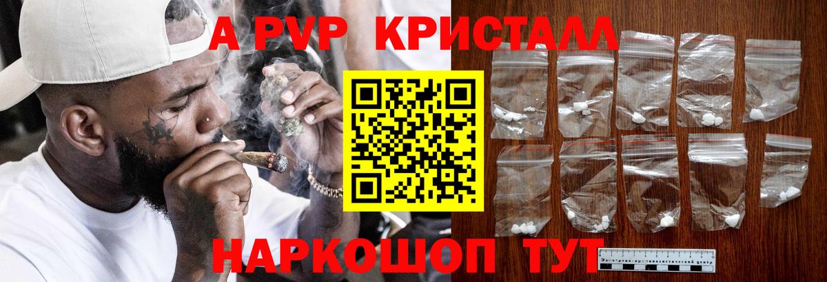 APVP СК  Альфа ПВП  Казань  Вход с VPN  как найти   APVP СК 