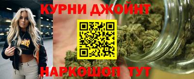 гидропоника Бийск