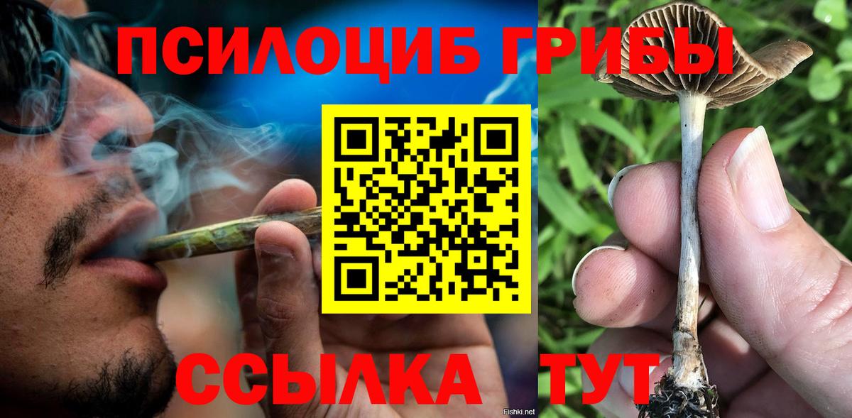 Галлюциногенные грибы GOLDEN TEACHER  Казань  где можно купить   Псилоцибиновые грибы GOLDEN TEACHER 